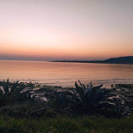 Cabana I Punta Negra Piriápolis 外观 照片